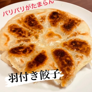 羽付き焼き餃子